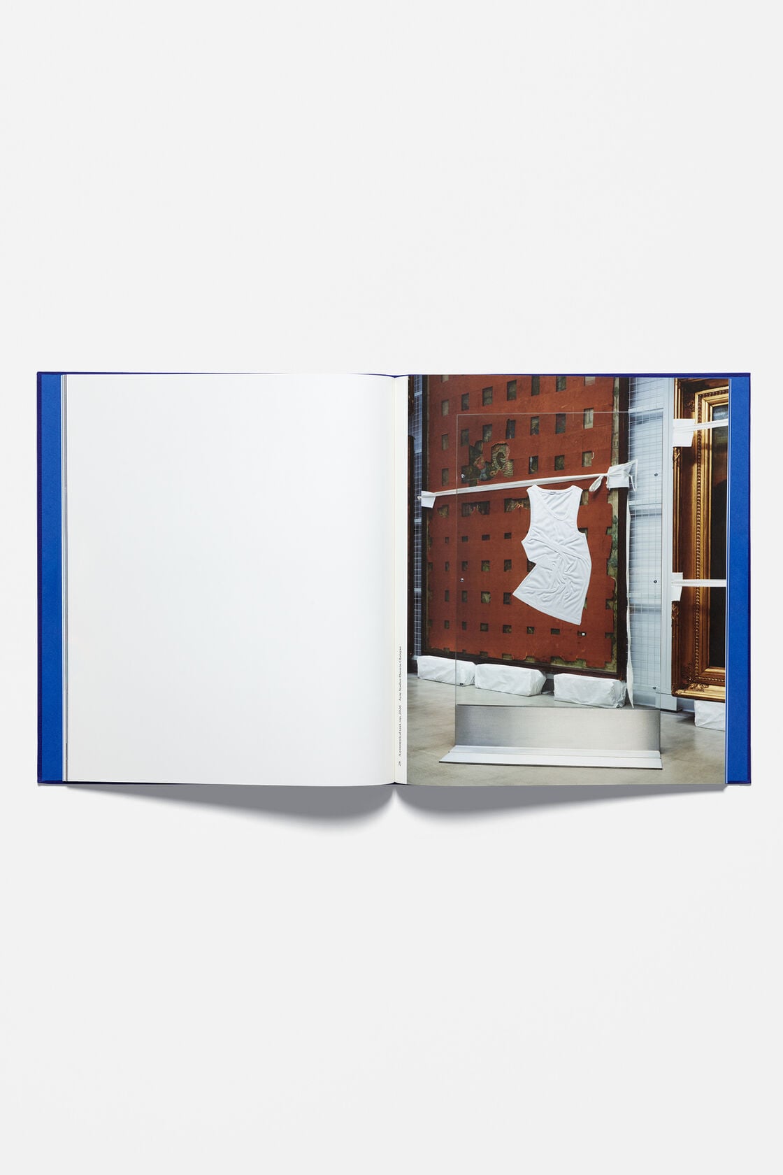 Reference: Hussein Chalayan - Blue