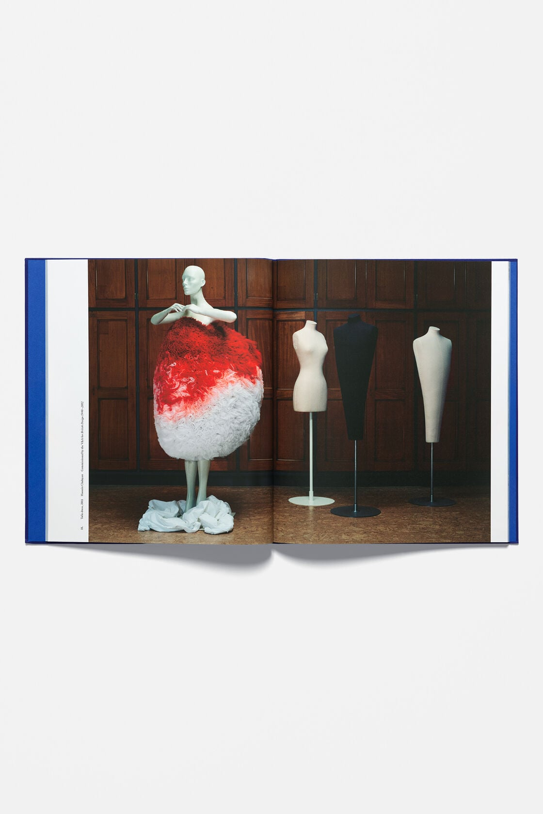 Reference: Hussein Chalayan - Blue